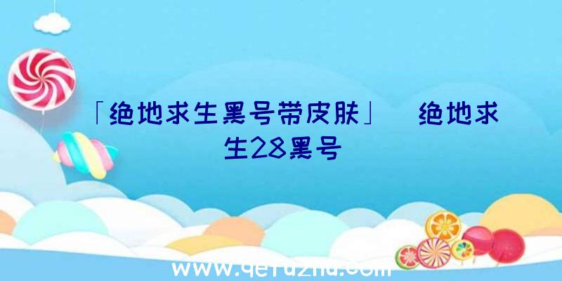 「绝地求生黑号带皮肤」|绝地求生28黑号